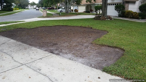 sod removal in bay hill