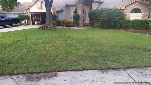 sod service in bay hill