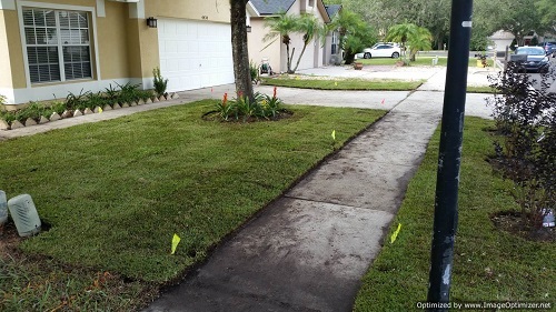 sod installation in casselberry