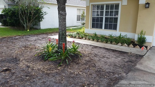 sod removal in casselberry