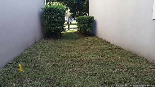 sod service in conway