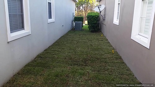 sod service in debary