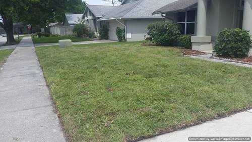 sod installation in deland