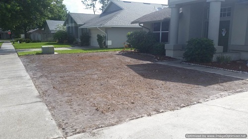 sod removal in deland