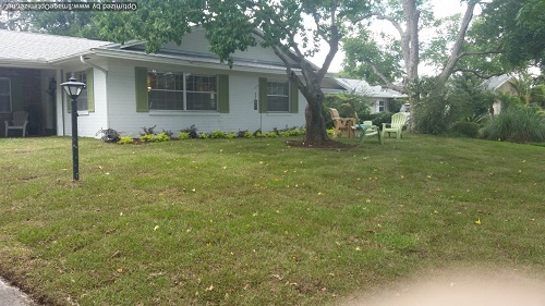 sod service in deland