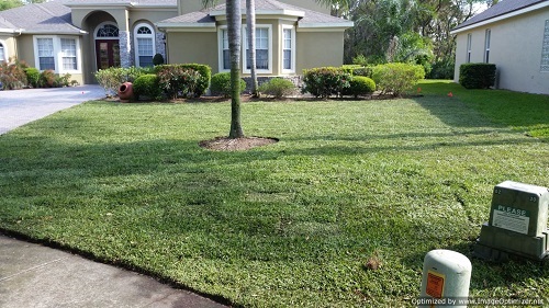 sod installation in deltona