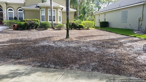 sod removal in deltona