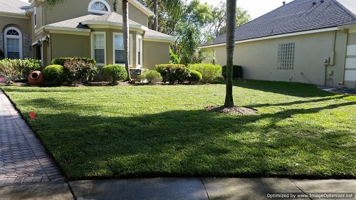 sod service in deltona