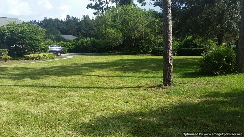 sod installation in kissimmee