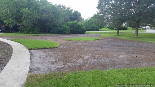 sod removal in kissimmee