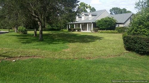 sod service in kissimmee