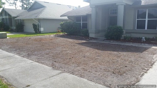 sod removal in ocoee