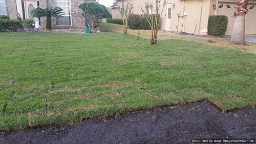 sod installation in orange city