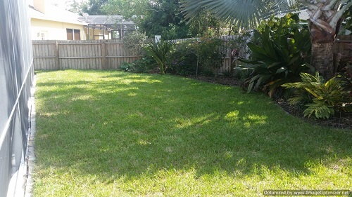 sod service in orange city