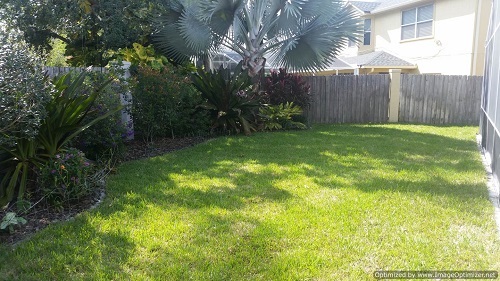 sod installation in oviedo