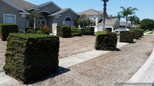 sod installation in pine castle