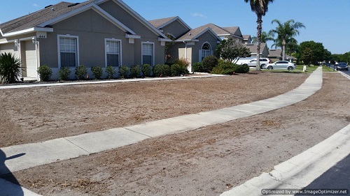 sod removal in pine castle