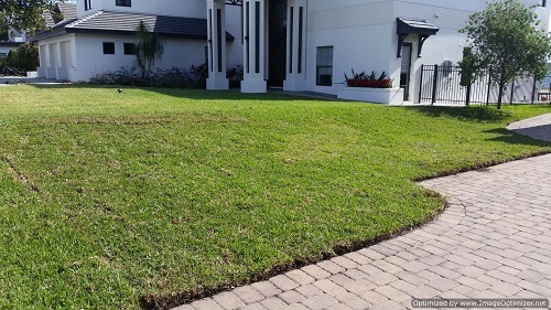 maitland sod installation