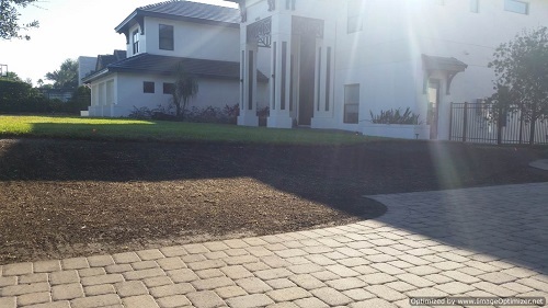 maitland sod removal