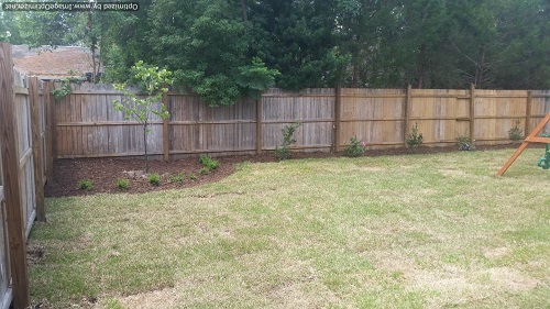 sod installation in windermere