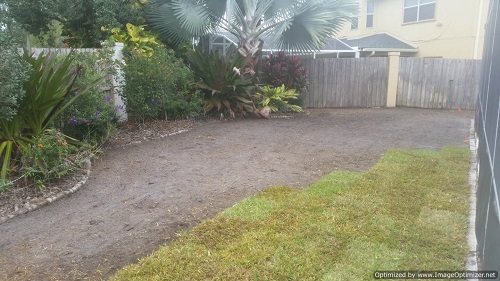 sod installation in winter garden