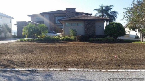 sod removal in winter garden