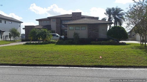 sod service in winter garden