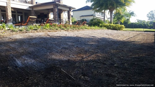 sod removal in winter park