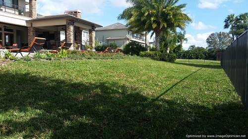 winter park sod service